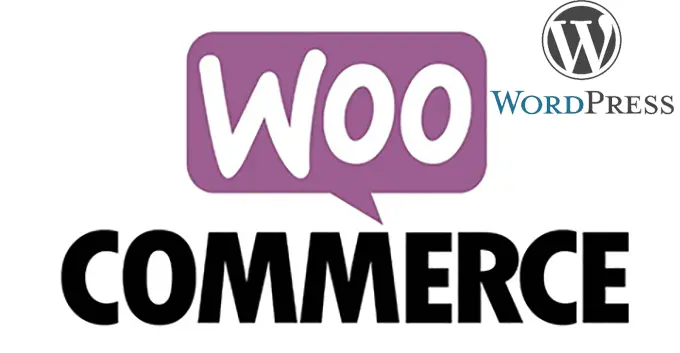 独立站怎么搭建-图片2